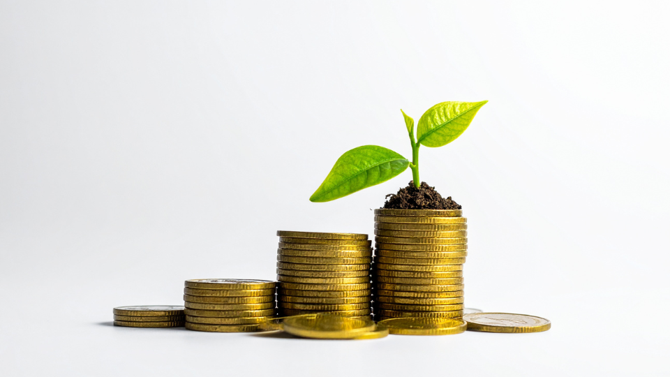 Ancrage de prix et ROI transformer le coût en investissement rentable